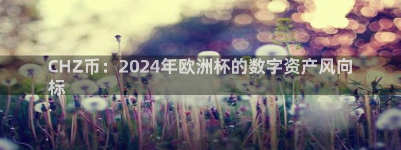 欧洲杯直播平台|CHZ币：2024年欧洲杯的数字资产风向
标