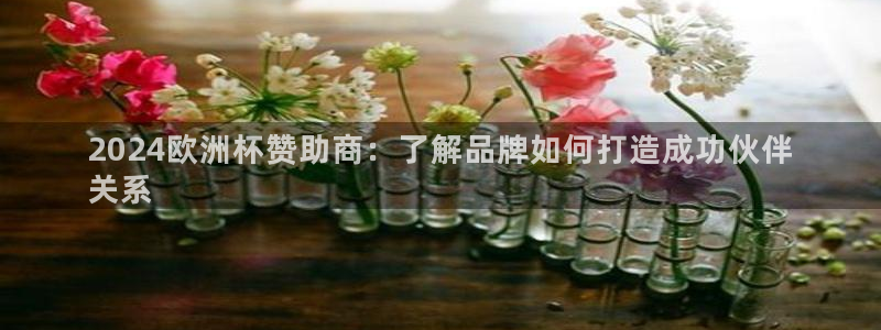 欧洲杯买球网|2024欧洲杯赞助商：了解品牌如何打造成功伙伴
关系